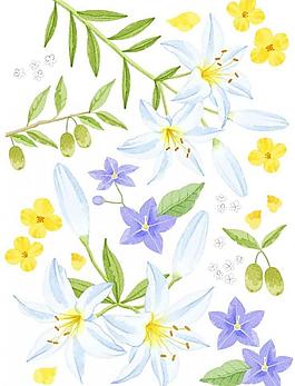 鮮花綠葉圖片