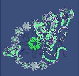 花草設(shè)計(jì)圖片