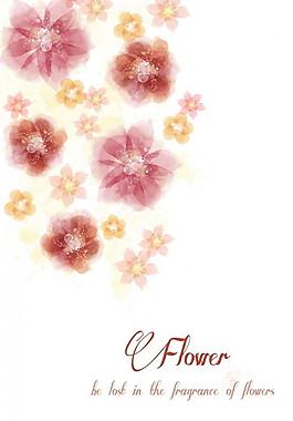 花朵花瓣圖片