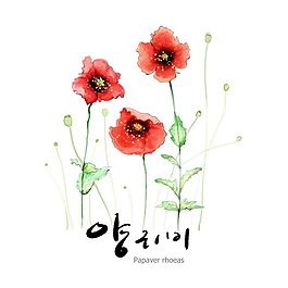 鮮艷紅花
