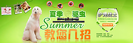 淘寶首頁輪播驅蟲夏季狗狗專頁