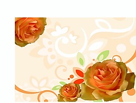 黄色玫瑰花