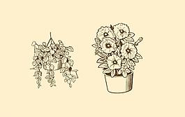 植物裝飾畫圖片