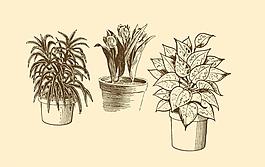 植物裝飾畫圖片