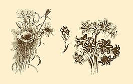 植物裝飾畫圖片