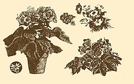 植物裝飾畫(huà)圖片