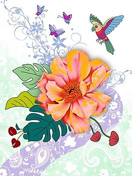 花鳥圖片