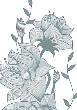 鮮花花朵圖片
