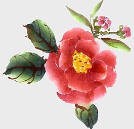 水墨鲜花图片
