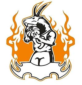 山羊打蓝球图片