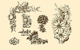 植物裝飾畫(huà)圖片