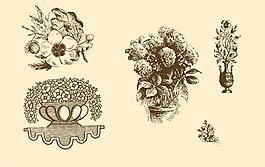 植物裝飾畫(huà)圖片
