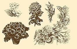 植物裝飾畫(huà)圖片