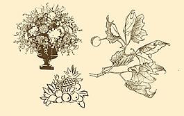 植物裝飾畫圖片