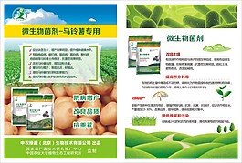 單頁設計
