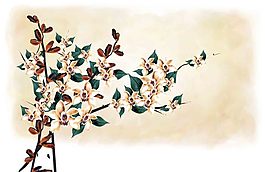 小花