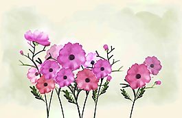 一片紅花