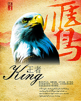 鹰文化