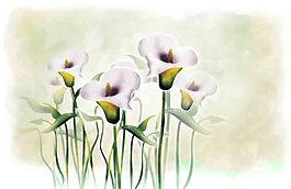 白花背景