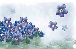 片片藍花