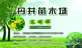 苗木名片