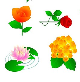 花蕊 花卉