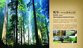 房地產(chǎn)畫(huà)冊(cè)下載