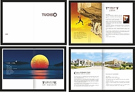 企業(yè)畫冊設(shè)計(jì)海報(bào)