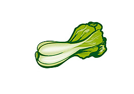 白菜 插畫