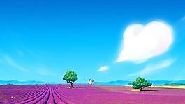 天空 花海圖片