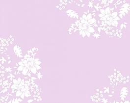 花朵移門(mén)圖片