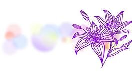 花朵移門(mén)圖片