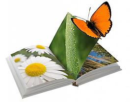 魔法書相冊(cè)圖片