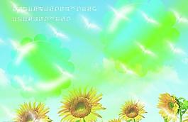 向日葵圖片