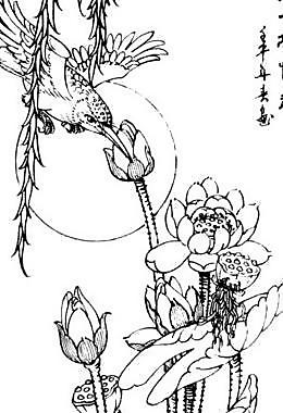 夏塘情趣圖片