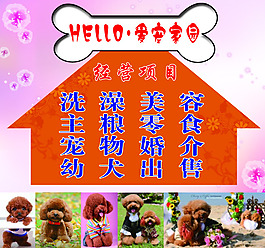 寵物牌匾