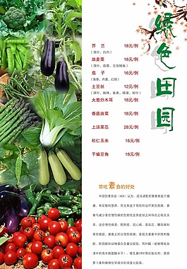 菜谱画册矢量素材