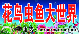 花鳥蟲魚大世界