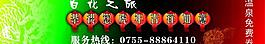 cdr畫冊設(shè)計(jì)圖片