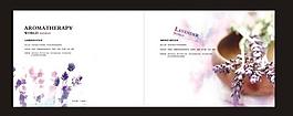 菡美香薰系列畫冊圖片