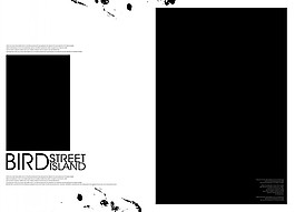 影樓簡潔畫冊