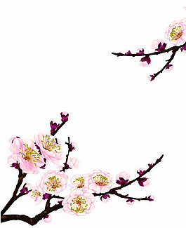平面設計  矢量   臘梅  素材