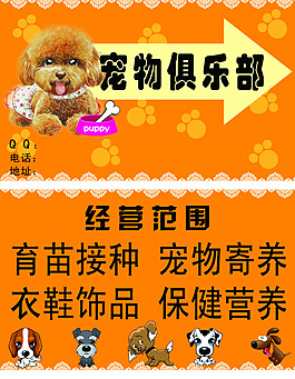 狗狗名片
