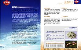 百日肥畫冊模版圖片