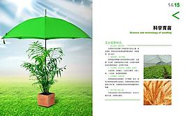 科学育苗图片