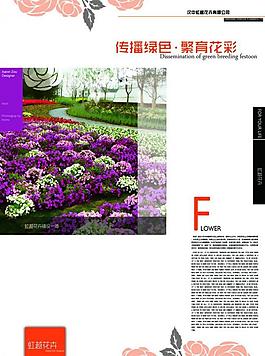 花卉內(nèi)頁(yè)圖片