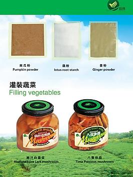企業(yè) 宣傳冊(cè)圖片