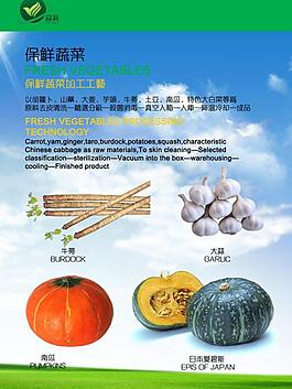企業(yè) 宣傳冊(cè)圖片