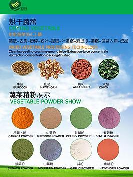 企業(yè) 宣傳冊(cè)圖片