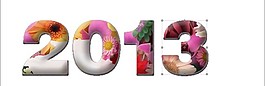 2013